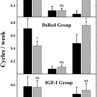 Effect Of Long Term MBH IGF I Gene Therapy On The Frequency Of Regular