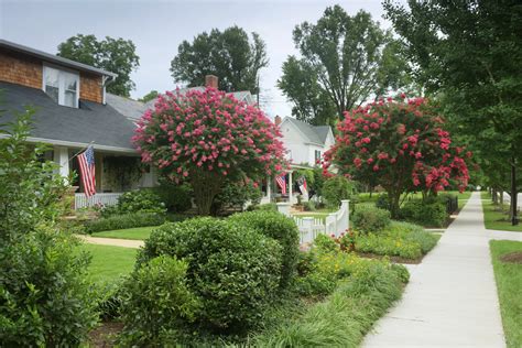 10 Things You Must Know Before moving to Wake Forest, NC 2025