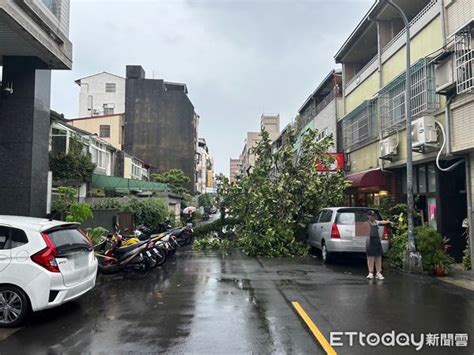 快訊／台中午後大雨路樹倒塌 2汽機車慘遭壓毀 Ettoday社會新聞 Ettoday新聞雲