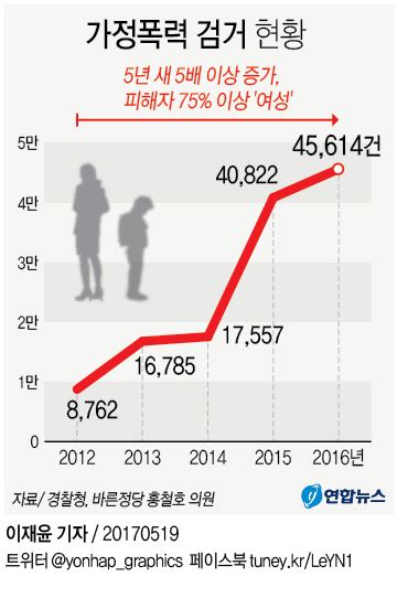 그래픽 5년 새 가정폭력 5배 증가 연합뉴스