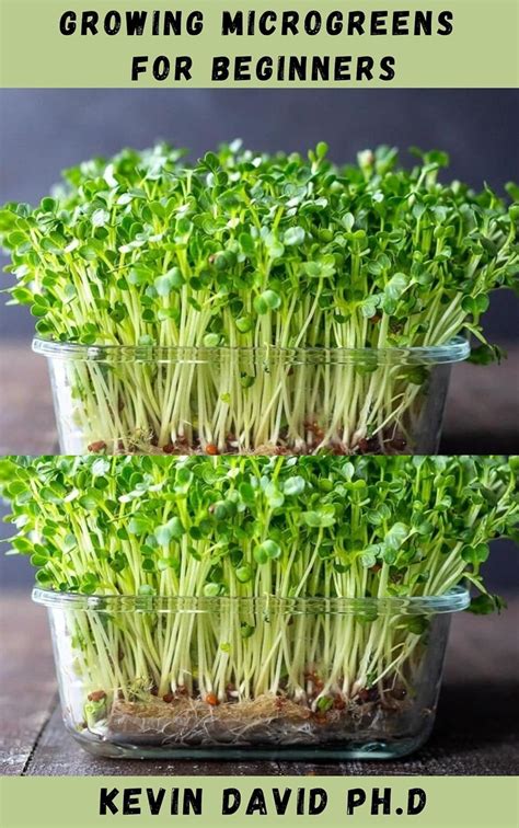 Growing Microgreens For Beginners Step By Step Guide On How To Grow