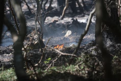 Ponoči na požarišču na goriškem Krasu predvidoma 200 gasilcev N1