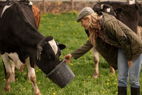 What Is Dairy Farming And How To Use This Know More