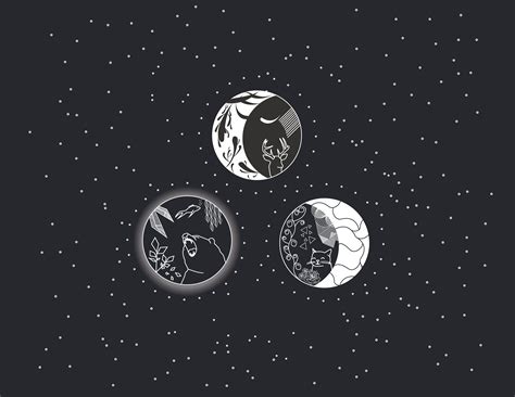 Black Cat Moon Wallpapers on WallpaperDog