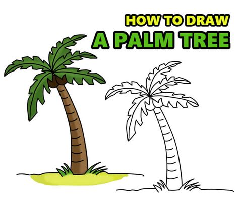 How To Draw A Palm Tree Step By Step Instruction In Pictures