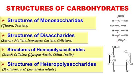 Structures Of Carbohydrates Structures Of Monosaccharides