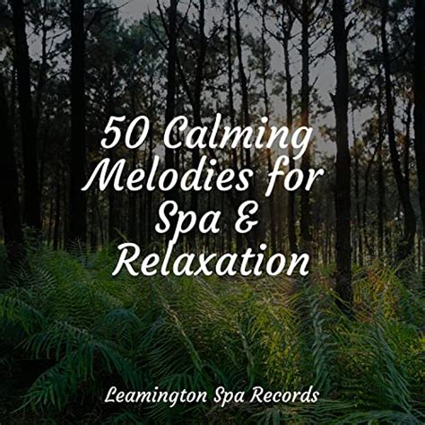 Play 50 Calming Melodies For Spa And Relaxation By Rainforest Sounds