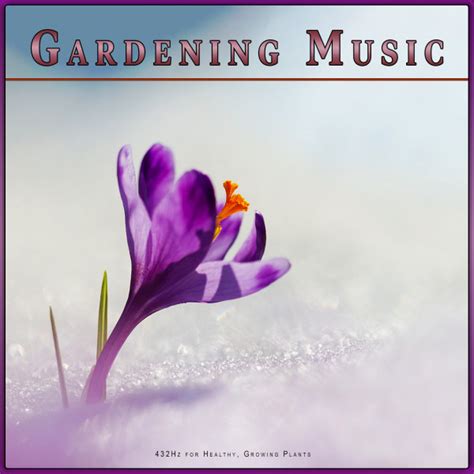 Bpm And Key For Songs By Music For Plants Tempo For Music For Plants