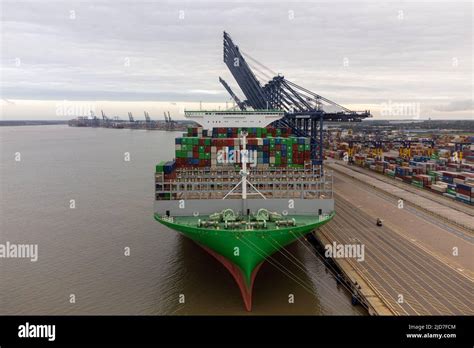 The World S Largest Cargo Ship Ever Ace Holder Of The Record For Most