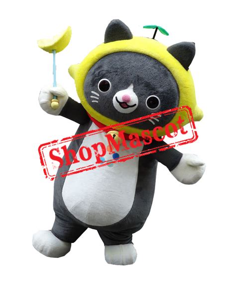 Little Cute Cat Mascot Costume