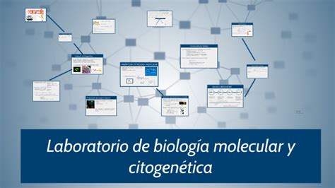 Laboratorio de biología molecular y citogenética by Sandra Pérez