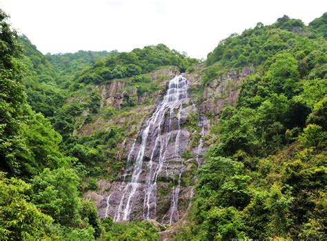 寻一处世外桃源 发现庐山云雾茶背后的故事新浪旅游新浪网