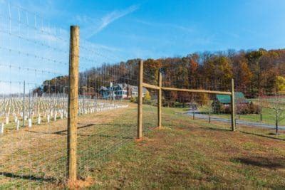 The Best Deer Fence to Keep Them Out! | Deer fence installer | Profence