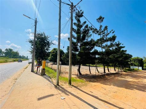 Terrenos Transpasse De Terreno A Berma Da Estrada Na Rua Da Igreja