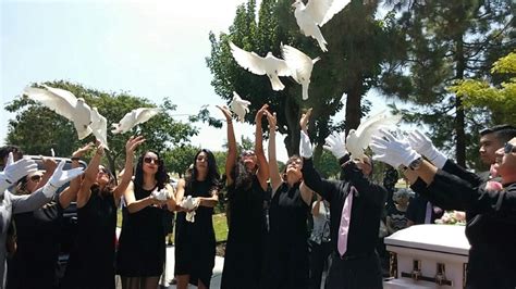 Dove Release & White Dove Releases by Romero's White Doves | Dove ...