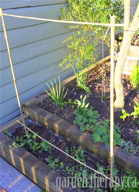 Making A Pea Trellis With Kids