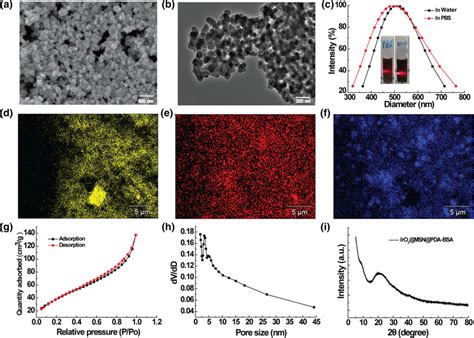 Characterization Of Iro Msn Pda Bsa Nps A Sem B Tem C Dynamic Light