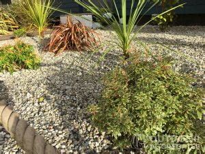 Diy Homeowners Guide On How To Clean Garden Stones Easily