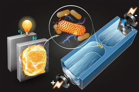 Bio Batterie A Base Di Batteri E Nanoparticelle Magnetiche