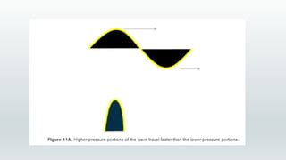 Tissue Harmonic Imaging Ppt