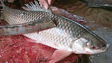 Giant Big Rohu Fish Cutting Skills Fish Cutting YouTube