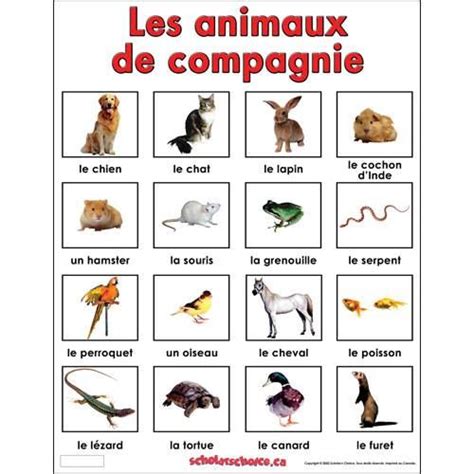 Épinglé par Elena Pérez García sur FLE les animaux Animaux de