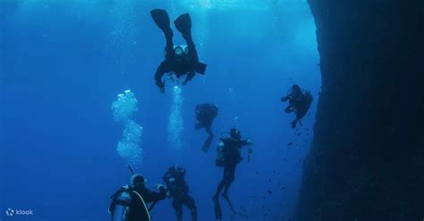 PADI Aktifkan Kembali Penyegaran Scuba Di Sardinia Dengan Elite 5 Star