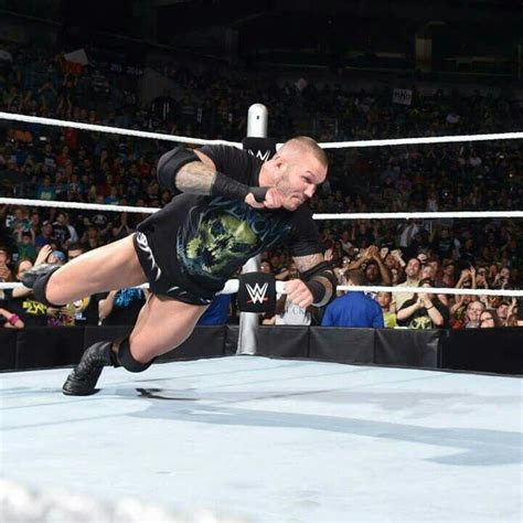 randy orton ready    rko randy orton orton wrestler
