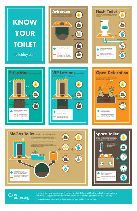 Know Your Toilet Daily Infographic