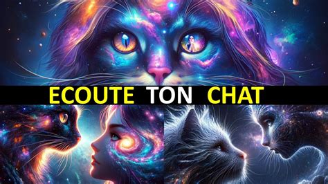 Signes Que Votre Chat Vous Offre Un Guide Spirituel Youtube