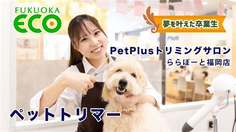 【トリマー】petplusトリミングサロンららぽーと福岡店【夢を叶えた卒業生】 Youtube