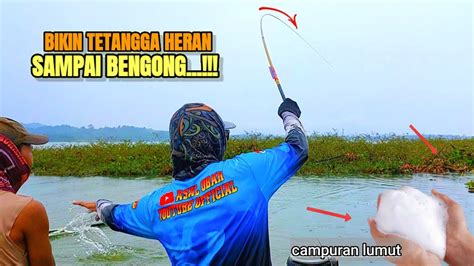 Campuran Lumut Ini Sangat Ampuh Untuk Mancing Ikan Nila Umpan Jitu