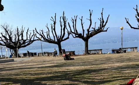 Laveno Mombello Si Prepara Alla Primavera Prendendosi Cura Del Verde