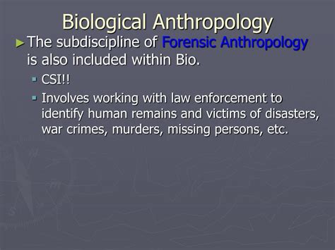 Ppt Anthropology Powerpoint Presentation Free Download Id3045289