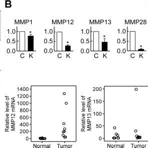 Identification Of HnRNP K Targeted MMPs A Affymetrix CDNA