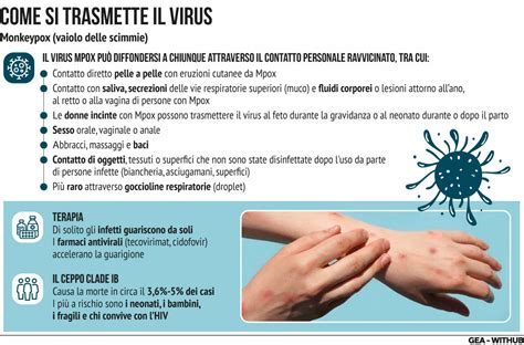 Vaiolo Delle Scimmie Le Raccomandazioni Di Ecdc E Ministero Su Mpox