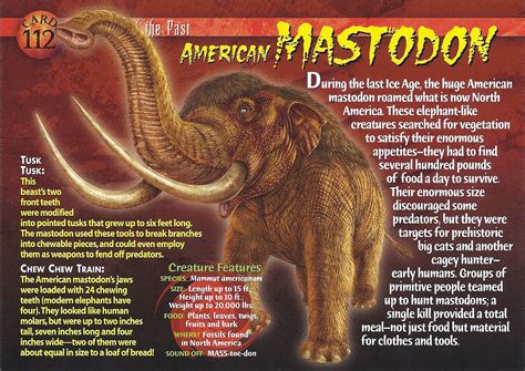 Image - American Mastodon front.jpg | Dinosaur Wiki | FANDOM powered by ...