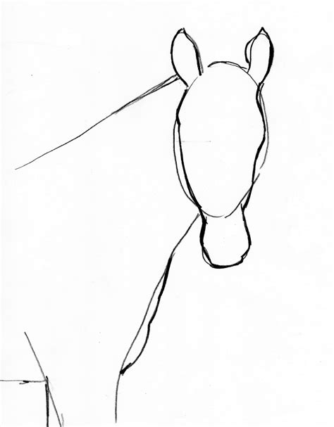 Horse Drawing Step By Step Art Starts