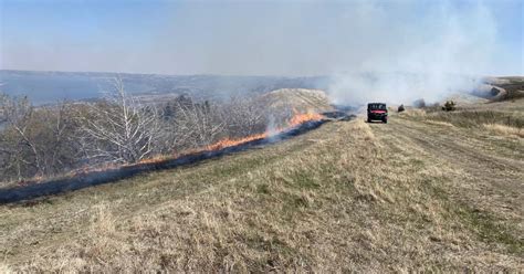 Controlled Burn Revives Pasture