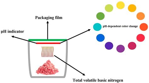 Active Packaging For Food Applications