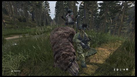 Went Bear hunting :) : r/dayz