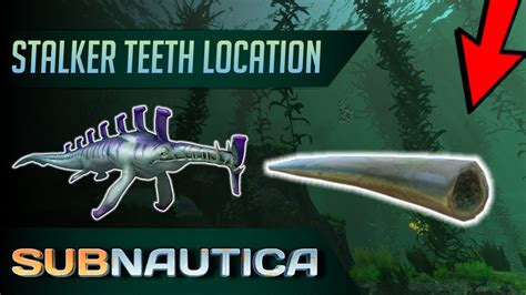 How To Get A Stalker Tooth In Subnautica