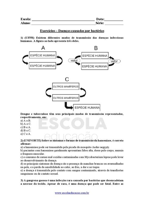 Atividades Sobre Bacterias 4 Ano