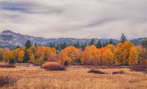 Autumn in Hope Valley, South Lake Tahoe: Panasonic GX8/Panasonic 14-42 ...