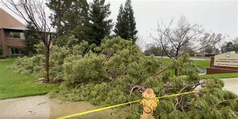 Strong Winds Knock Down Trees In Northern California