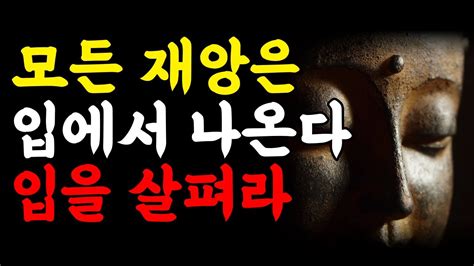 늘 생각하고 말해야 하는 이유ㅣ석가모니 인생조언 모음ㅣ삶의 지혜ㅣ현명하게 사는 방법ㅣ불교ㅣ매일 들을수록 좋은 말씀 Youtube