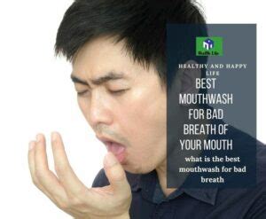 Best Mouthwash For Bad Breath Tips And Fresh For Your Closers