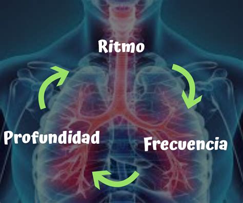 Signos Vitales Mind Map