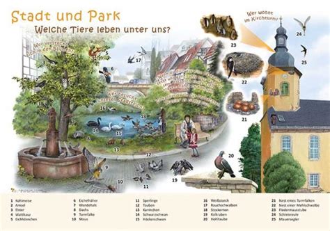 Stadt Und Park Welche Tiere Leben Unter Uns X X Cm