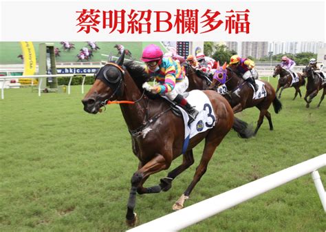 香港賽馬會 The Hong Kong Jockey Club